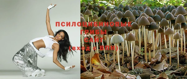 стафф Алзамай