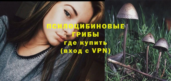 стафф Алзамай