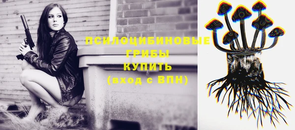 стафф Алзамай