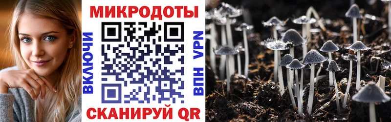 Галлюциногенные грибы ЛСД  цена   Тверь 