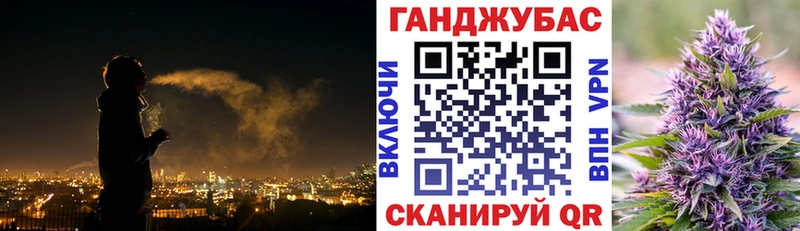Конопля планчик Тверь